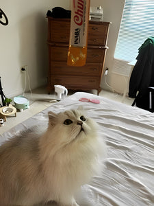 Nuestros valores fundamentales