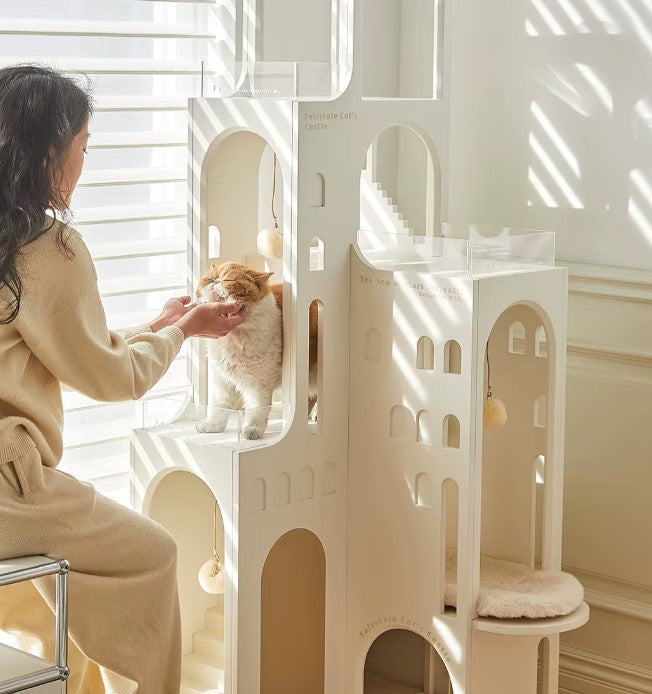 A women playing with the cat who stand on a luxury cat castle