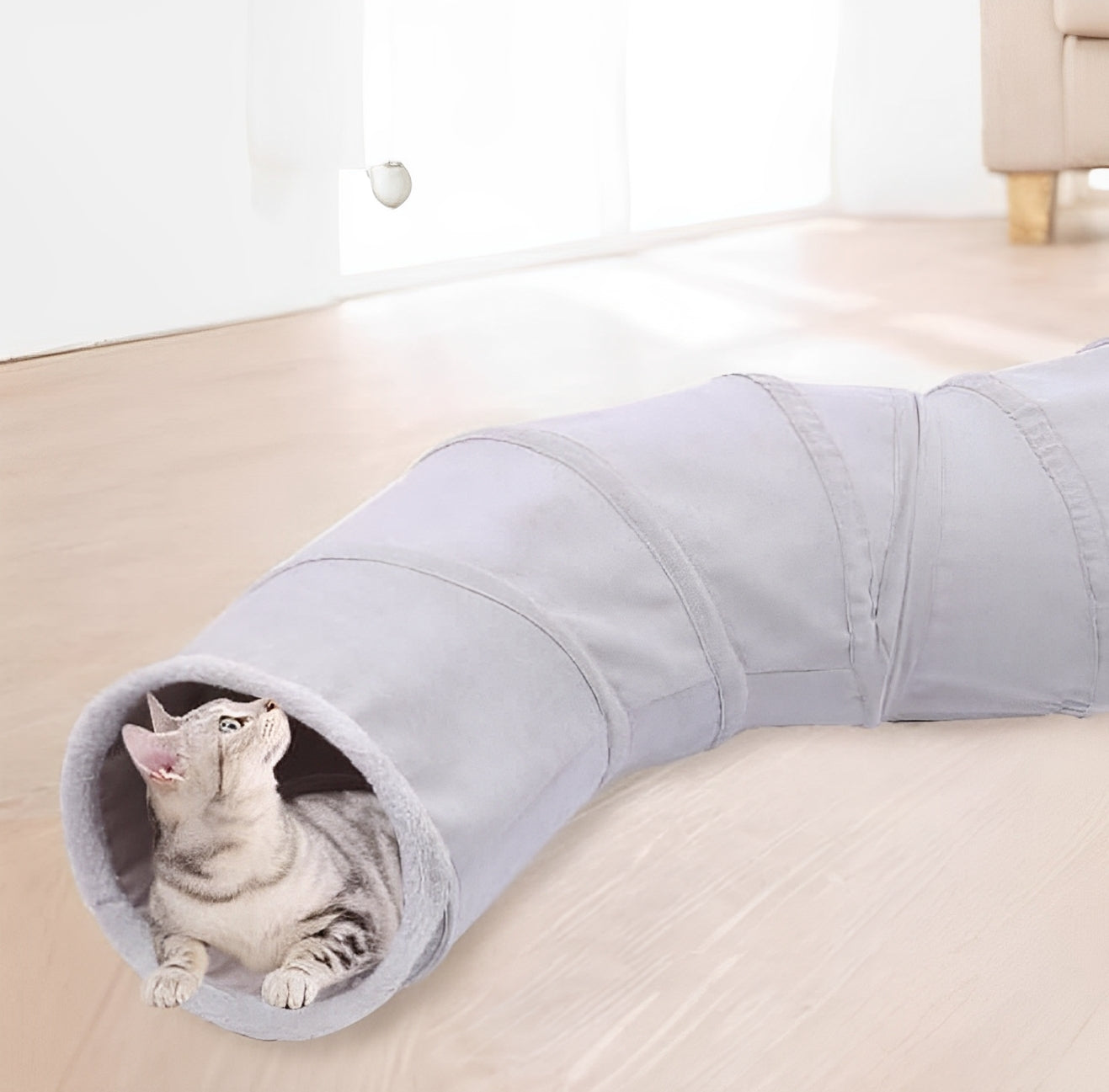 Cat playing inside collapsible cat tunnel with peek holes