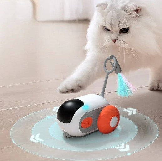 Cat play with interactive remote and automatic smart cat toy