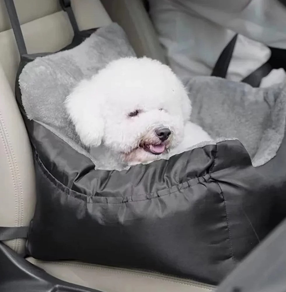 A cute white dog sitting in a black dog car seat for different sizes of dog