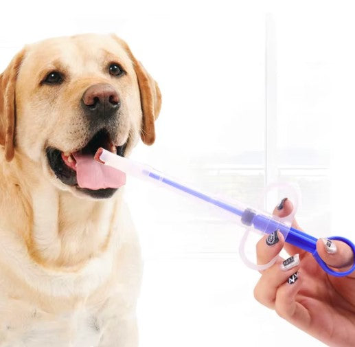 Hand holding pet pill applicator with medication, preparing to give dog medicine