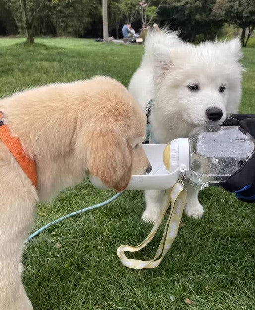 White portable dog water bottle and food bowl with water and kibble for outdoor use