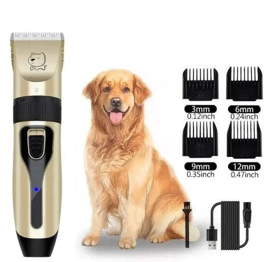 Golden Retriever sitting next to a complete dog grooming clippers