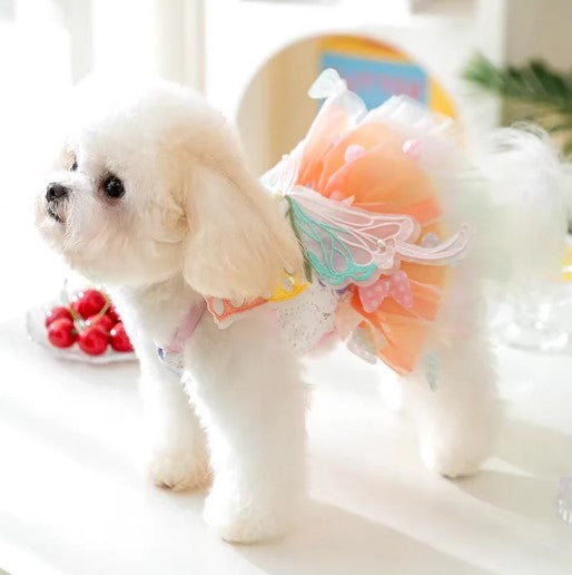 Side view of a small white dog wearing a pink princess dog dress, ideal for parties or cute pet photos