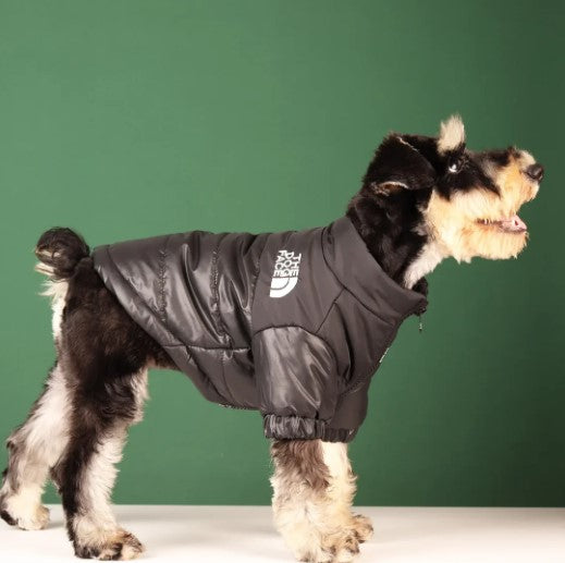 Side view of a dog wearing a pet down jacket