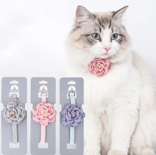 Cat sitting beside three colorful spring-themed collars with floral designs
