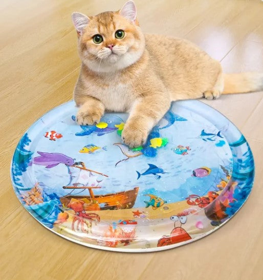 Cat lying on a water-filled cooling mat, looking at the camera