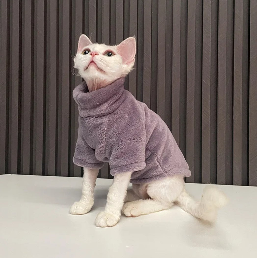 A cat wearing a sweater, looking up with curiosity.
