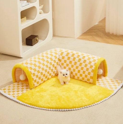 A kitten standing in front of a yellow and white cat tunnel, looking directly at the camera.