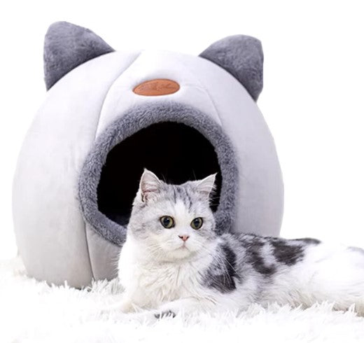 Cat resting in front of a gray cat bed, looking relaxed and comfortable