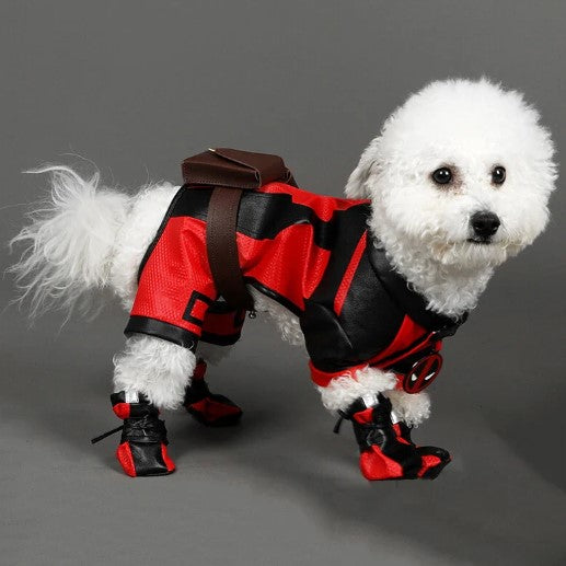 White dog wearing a Deadpool-themed dog costume, ready for action