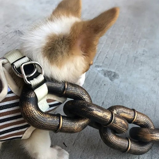 Dog wearing a Halloween-themed dog leash designed to resemble a chain, perfect for Halloween