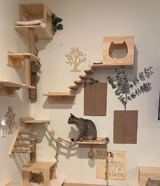 Modular Wall-Mounted Cat Climbing System with Cat House, Scratching Posts, and Connecting Bridges – Customizable Cat Furniture for Large Cats, Relaxed Cat Sitting on Panel