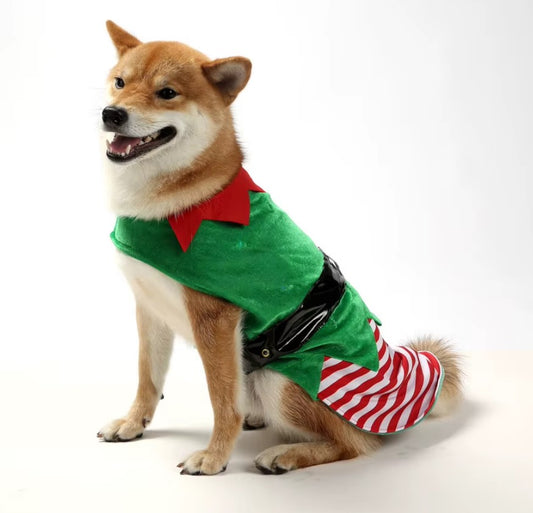 Striped Christmas and Halloween dog costume vest for festive Santa and elf looks