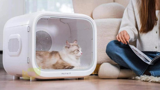 Automatic pet drying box for cats and small dogs with temperature and air settings for stress-free grooming