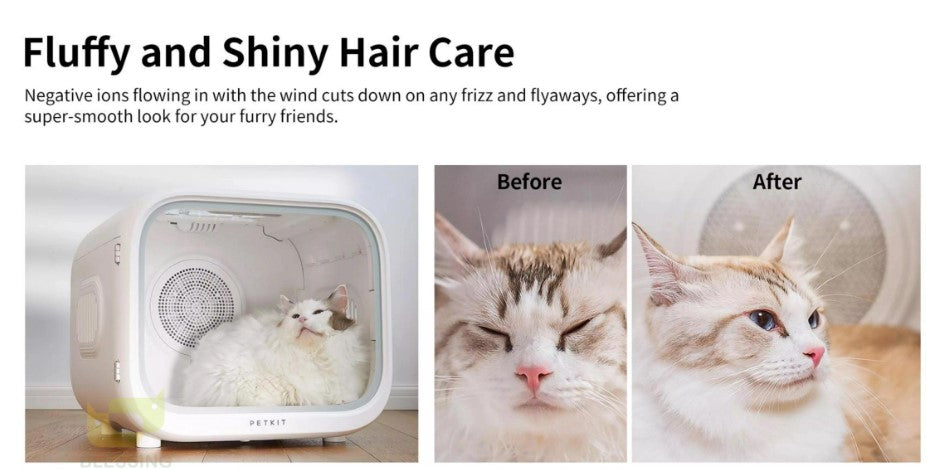 Automatic pet drying box for cats and small dogs with temperature and air settings for stress-free grooming