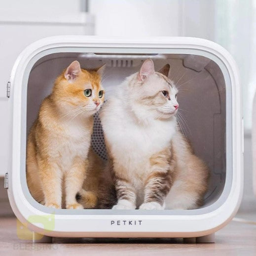 Automatic pet drying box for cats and small dogs with temperature and air settings for stress-free grooming
