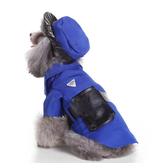 Pet wearing Halloween and Christmas knitted sweaters, featuring festive designs for dogs and cats.