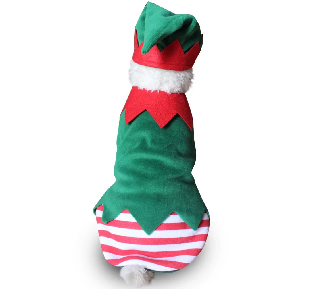 Pet wearing Halloween and Christmas knitted sweaters, featuring festive designs for dogs and cats.