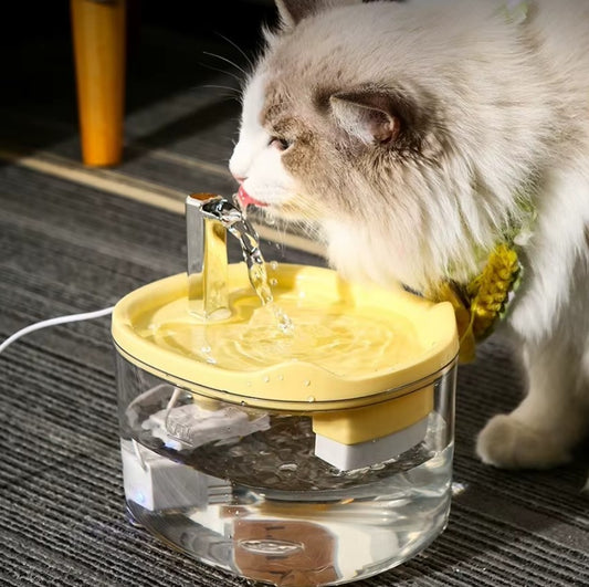 Silent automatic cat water fountain with double filtration and smart flow system for healthy hydration.