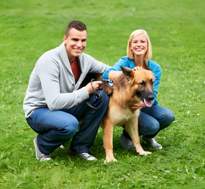 Promoción de la tenencia responsable de mascotas