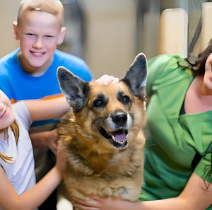 Apoyo a eventos de adopción de mascotas