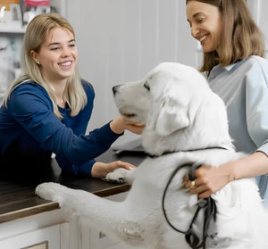 Colaboración con clínicas veterinarias