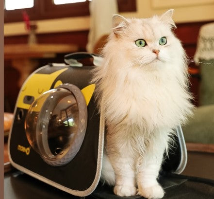 A cat prepare to get out from a stylish pet outdoor carrier bag - Customer review photo