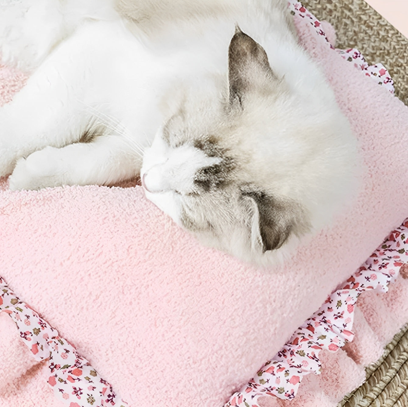 Comfortable pink cat bed with a cat sleeping peacefully, perfect for pet relaxation