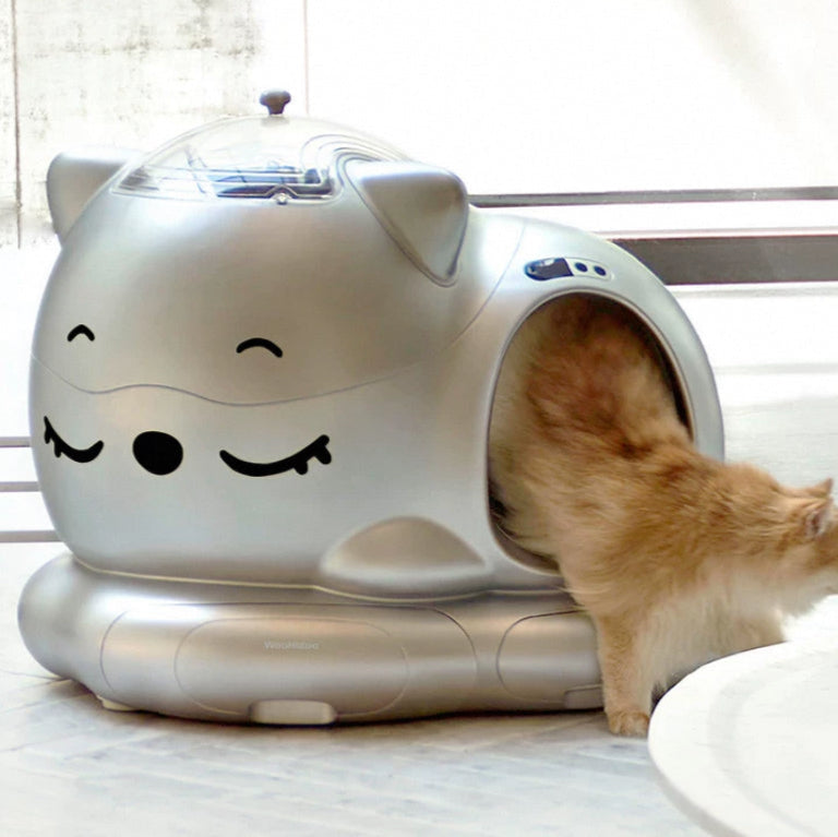 Open-top 10L smart cat litter box with automatic cleaning and odor control