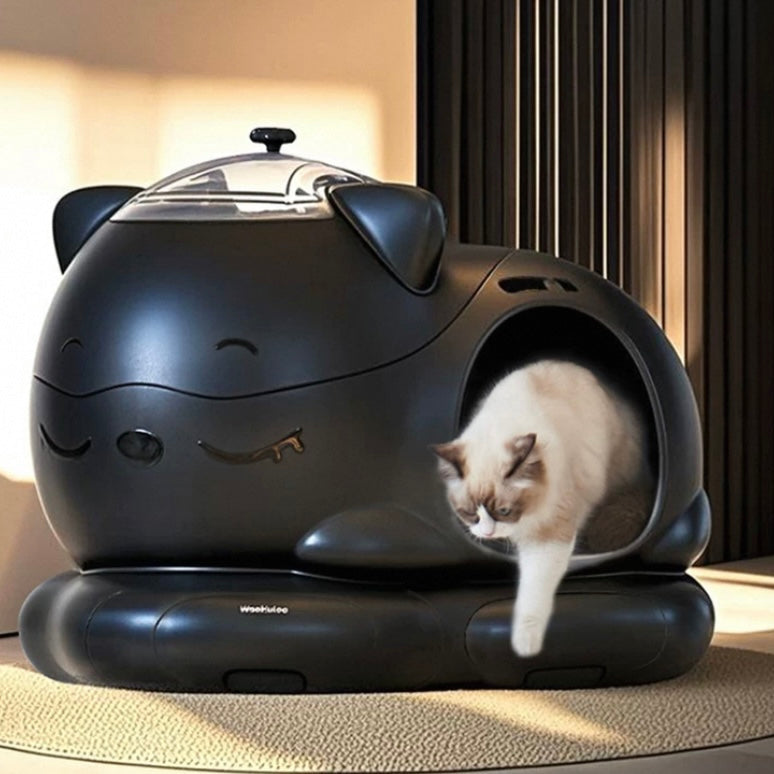 Open-top 10L smart cat litter box with automatic cleaning and odor control