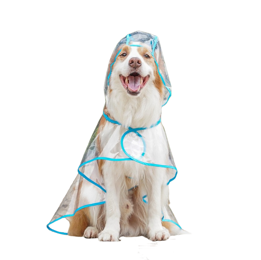 Impermeable transparente para mascotas: chaqueta impermeable transparente para paseos bajo la lluvia