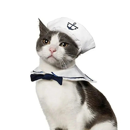 Cat wearing a funny navy sailor costume with a sailor hat and collar, looking stylish and adorable.