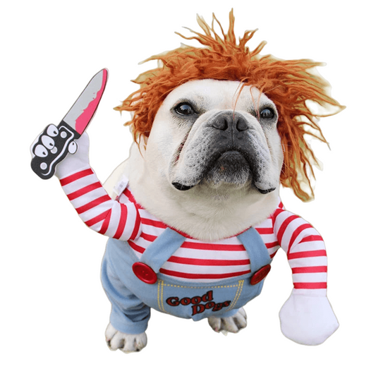 Medium-sized dog wearing a funny Halloween costume with adjustable straps.