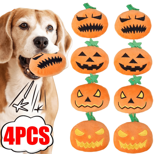 Small dog playing with a Halloween ghost face pumpkin squeaky toy.