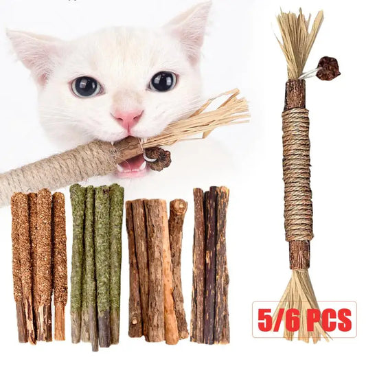 Natural cat mint sticks for chewing and dental care in cats