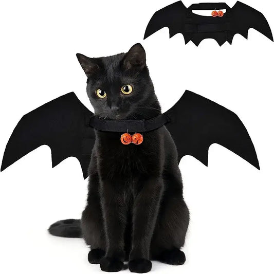 Cat wearing bat wing costume for Halloween.