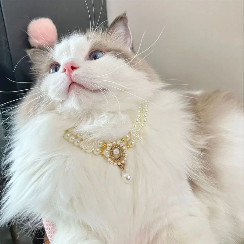 Small dog wearing gem pendant pearl necklace with lace accents