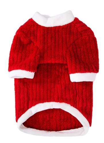 Large dog wearing red Christmas sweater for winter and holiday celebrations