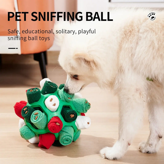 Dog playing with an interactive rubber sniffing ball filled with treats.