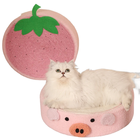 2-in-1 cat scratcher and bed with recyclable bowl-shaped sisal surface