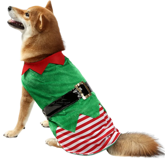 Striped Christmas and Halloween dog costume vest for festive Santa and elf looks
