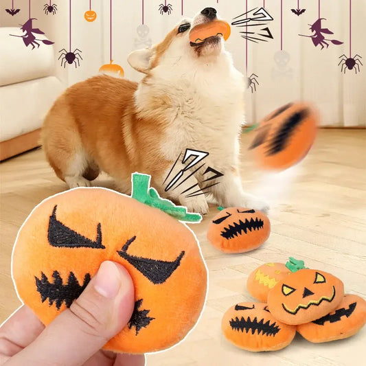 Small dog playing with a Halloween ghost face pumpkin squeaky toy.