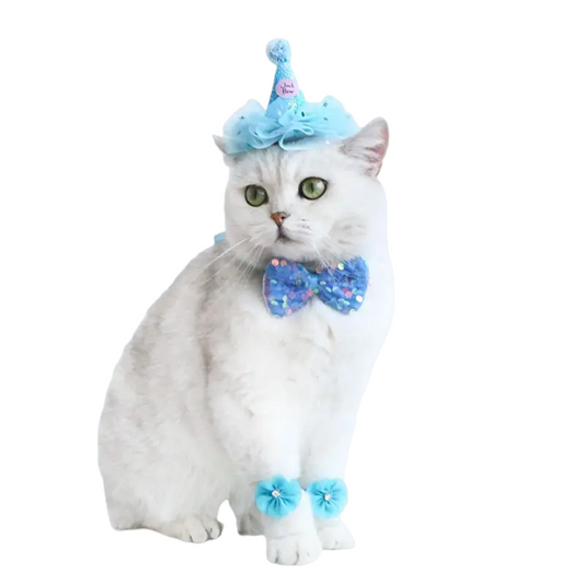 Elegant wedding crown with veil for small dogs and cats – pet bridal headdress