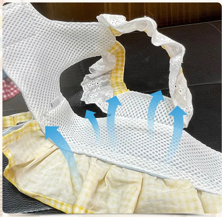 Small dog wearing pink doll-style harness with denim skirt and matching leash