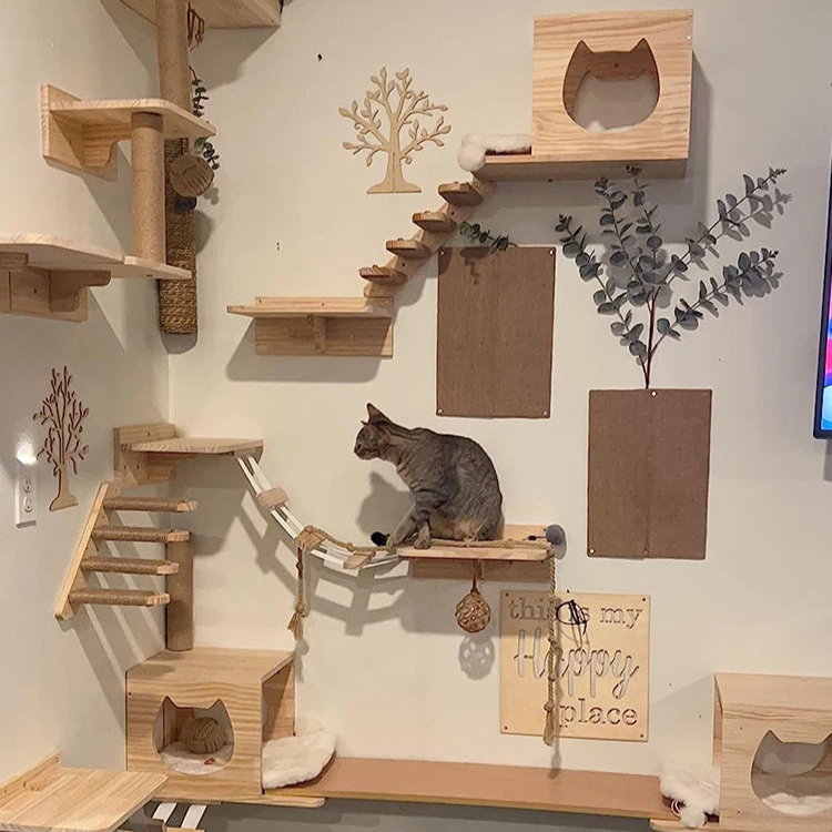 A cat stand on a wall cat climbing frame
