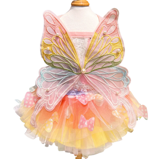 Small dog wearing the Butterfly Princess Dress, showcasing a charming and stylish design perfect for special occasions.