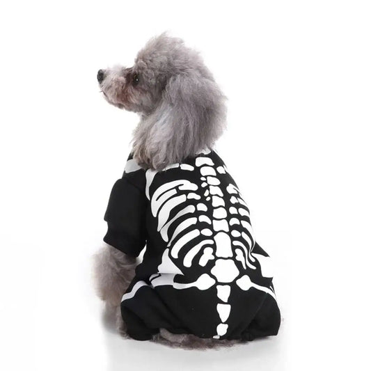 Small dog wearing a Halloween skeleton costume jumpsuit.