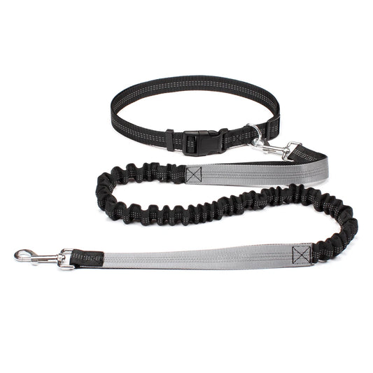 Hands-free dog leash with adjustable waist belt and dual-bungee shock absorber, designed for jogging and running with dogs safely and comfortably.